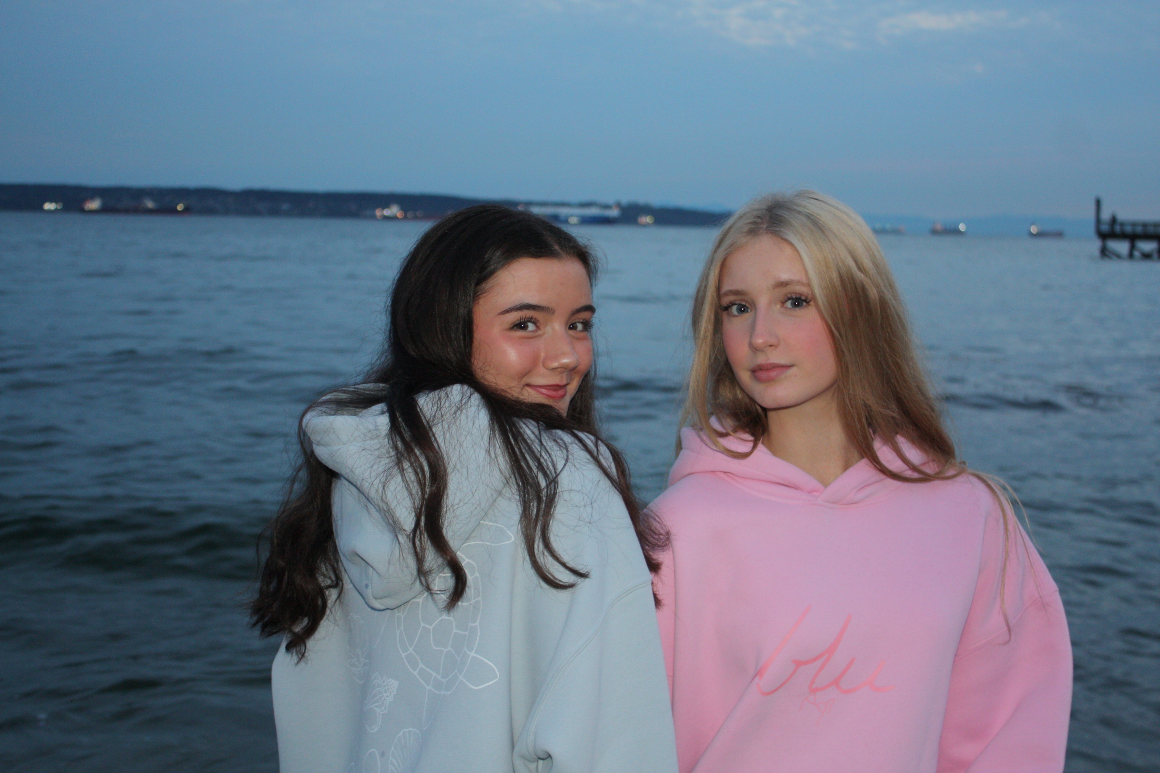 Under Pink Skies Oversize Fleeced Hoodie